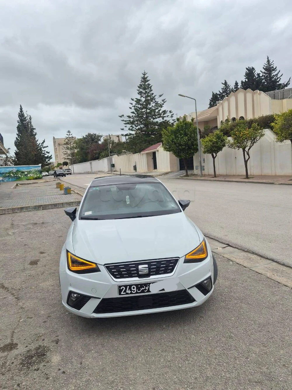 Carte voiture SEAT Ibiza