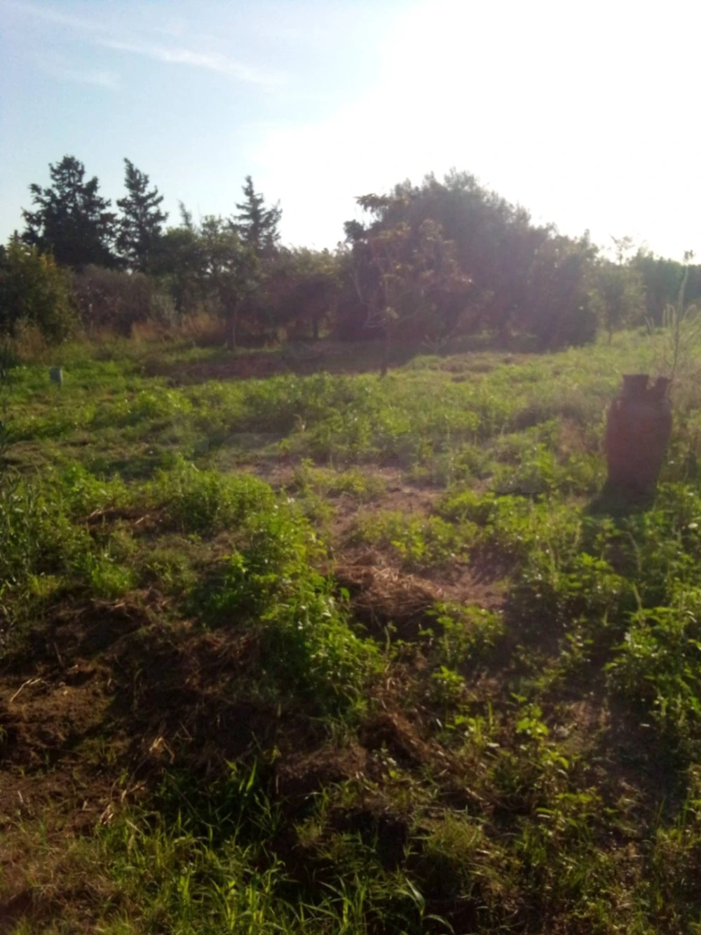 Terrain a vendre