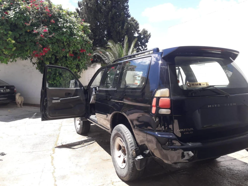 Carte voiture Mitsubishi Pajero Sport