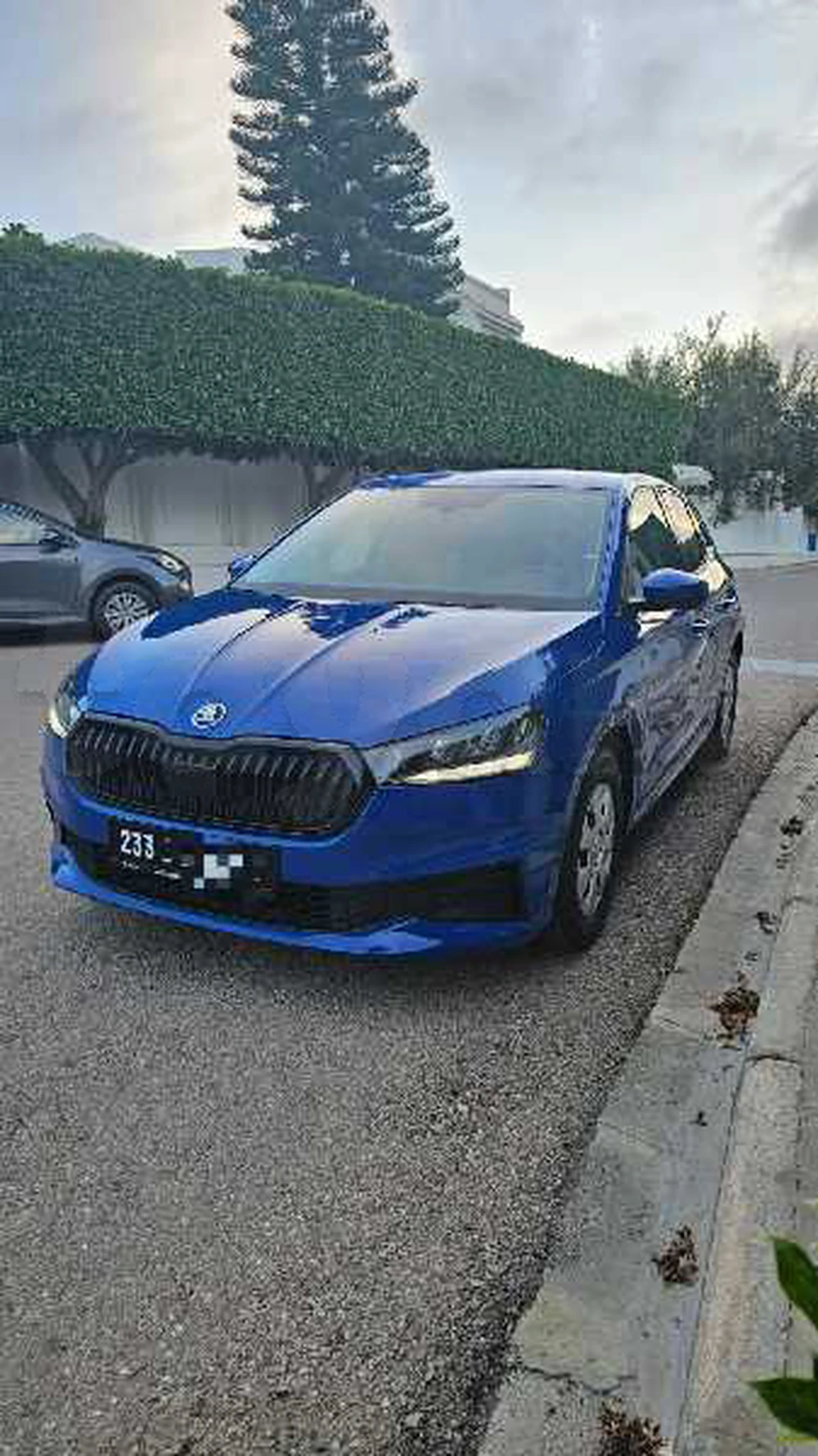 Carte voiture Skoda Fabia