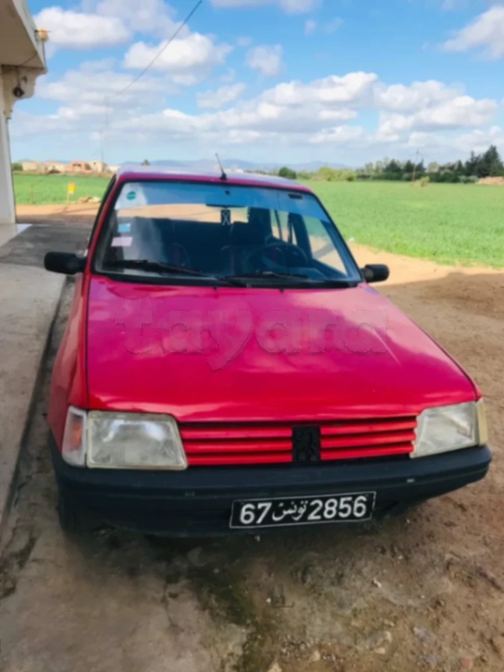 Carte voiture Peugeot 205