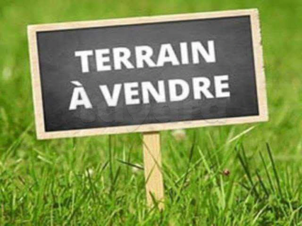 Terrain 
Jardin nahli النحلي