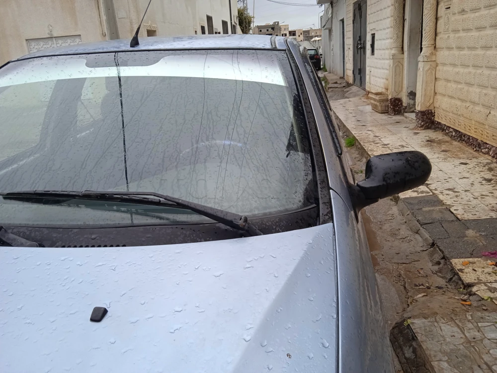 Carte voiture Fiat Palio