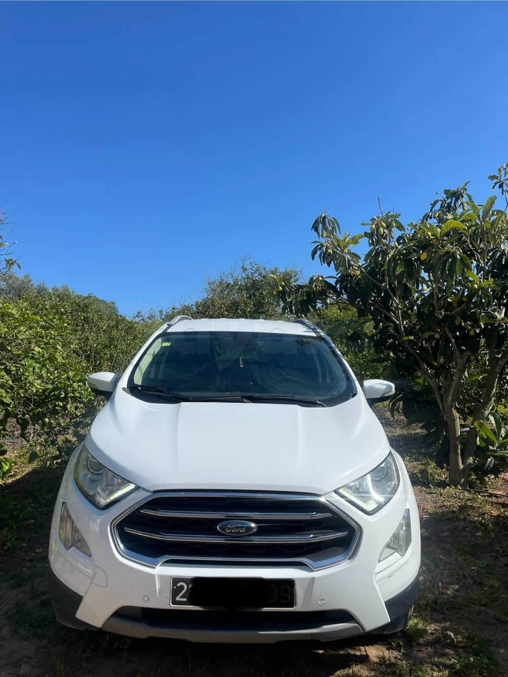 Carte voiture Ford EcoSport